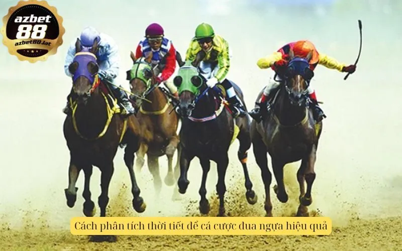 Cách phân tích thời tiết để cá cược đua ngựa hiệu quả