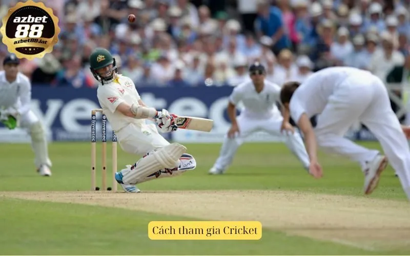 Cách tham gia Cricket