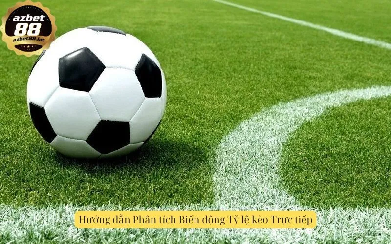 Hướng dẫn Phân tích Biến động Tỷ lệ kèo Trực tiếp