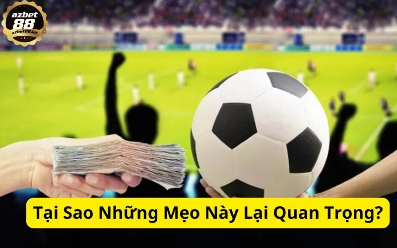 Tại Sao Những Mẹo Này Lại Quan Trọng?