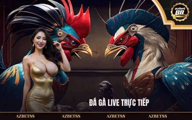 Đá gà Live trực tiếp